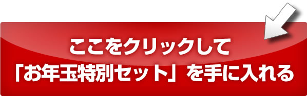 システムトレードの達人　スタートアップ講座に、今すぐ申し込む